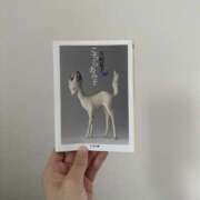 ヒメ日記 2025/06/10 22:24 投稿 みこ 横浜HANDS（ハンズ）（ユメオト）