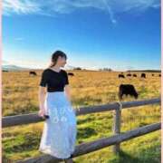 ヒメ日記 2025/09/03 23:57 投稿 ひめ ごほうびSPA五反田店