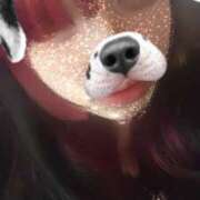 ヒメ日記 2025/01/21 04:18 投稿 しゅり とある風俗店♡やりすぎさーくる新宿大久保店♡で色んな無料オプションしてみました