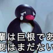 ヒメ日記 2024/12/11 17:30 投稿 ほたる ナメすぎサークル立川店