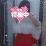 ヒメ日記 2025/09/13 12:10 投稿 中村ゆの 池袋パラダイス