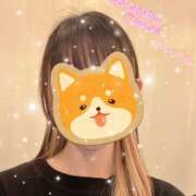 ヒメ日記 2024/12/12 23:45 投稿 みこ クンニ専門店 おクンニ学園 池袋校