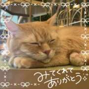 ヒメ日記 2025/01/23 21:25 投稿 みこ クンニ専門店 おクンニ学園 池袋校