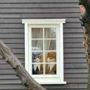 ヒメ日記 2025/04/03 17:41 投稿 みこ クンニ専門店 おクンニ学園 池袋校