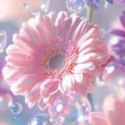 ヒメ日記 2025/08/01 14:16 投稿 七海（ナナミ） アバンチュール(五反田)