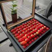 ヒメ日記 2026/03/12 16:47 投稿 七海（ナナミ） アバンチュール(五反田)