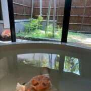 ヒメ日記 2025/08/03 12:06 投稿 二階堂えま 皇帝別館（こうていべっかん）