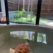 ヒメ日記 2025/10/05 17:16 投稿 二階堂えま 皇帝別館（こうていべっかん）