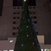 ヒメ日記 2025/12/15 07:16 投稿 二階堂えま 皇帝別館（こうていべっかん）