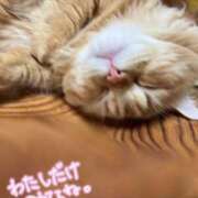 ヒメ日記 2025/03/15 13:17 投稿 うさみ ハニープラザ（ユメオト）