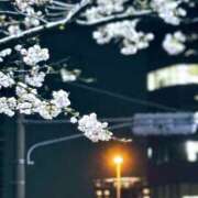 ヒメ日記 2025/03/28 09:00 投稿 うさみ ハニープラザ（ユメオト）