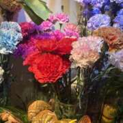 ヒメ日記 2025/05/11 18:00 投稿 うさみ ハニープラザ（ユメオト）