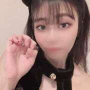 ヒメ日記 2025/04/21 08:21 投稿 まりも チューリップ熊本店