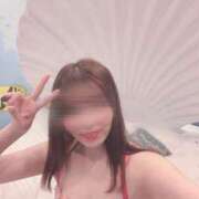 ヒメ日記 2025/05/29 11:41 投稿 まりも チューリップ熊本店