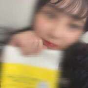 ヒメ日記 2025/06/28 08:20 投稿 まりも チューリップ熊本店