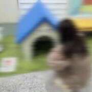 ヒメ日記 2025/07/23 08:10 投稿 まりも チューリップ熊本店