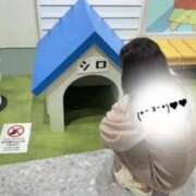 ヒメ日記 2025/07/23 09:20 投稿 まりも チューリップ熊本店