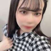 ヒメ日記 2025/07/24 09:20 投稿 まりも チューリップ熊本店