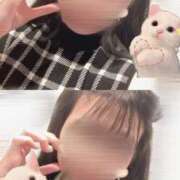 ヒメ日記 2025/08/23 07:40 投稿 まりも チューリップ熊本店