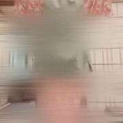 ヒメ日記 2025/09/24 07:50 投稿 まりも チューリップ熊本店