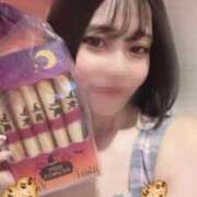 ヒメ日記 2025/09/25 08:50 投稿 まりも チューリップ熊本店