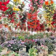 ヒメ日記 2025/03/13 01:06 投稿 なな 千葉みるみる（ユメオト）