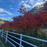 ヒメ日記 2025/11/26 22:27 投稿 なな 千葉みるみる（ユメオト）