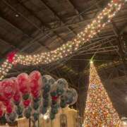 ヒメ日記 2025/11/18 06:57 投稿 わかな 渋谷 風俗 いきなりビンビン伝説