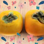 ヒメ日記 2025/10/05 09:35 投稿 とわ 熟女の風俗最終章 立川店