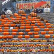 ヒメ日記 2025/10/31 06:31 投稿 とわ 熟女の風俗最終章 立川店