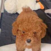 ヒメ日記 2025/01/28 11:14 投稿 ゆい 泡の伝道師