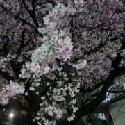 ヒメ日記 2025/03/21 09:47 投稿 ゆい 泡の伝道師