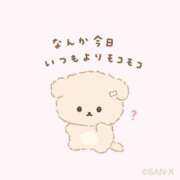 ヒメ日記 2025/04/28 15:24 投稿 ゆい 泡の伝道師