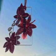 ヒメ日記 2025/10/17 17:04 投稿 ゆい 泡の伝道師