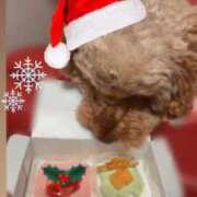 ゆい 犬も🐶🎄🎂 泡の伝道師