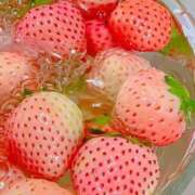 ヒメ日記 2025/01/02 00:00 投稿 かな 沖縄素人図鑑