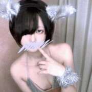 ここあ こんばんは！ 新宿スピン