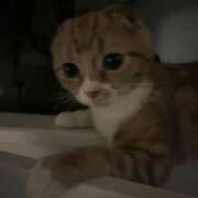 ヒメ日記 2025/12/23 15:18 投稿 ☆りず☆ 100％本人が来る店！！デリヘル『ロイヤルフラッシュ』