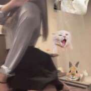 ヒメ日記 2025/02/19 15:08 投稿 ましろ HEAVEN Hand