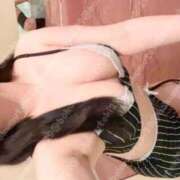 ヒメ日記 2025/11/27 11:34 投稿 ももち G-STAGE