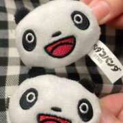 ヒメ日記 2026/03/13 09:39 投稿 ももち G-STAGE