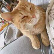 ヒメ日記 2025/04/09 20:01 投稿 四宮せいか ウルトラグレイス24