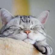 ヒメ日記 2025/05/15 07:31 投稿 四宮せいか ウルトラグレイス24