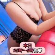 ヒメ日記 2025/10/04 19:50 投稿 四宮せいか ウルトラグレイス24