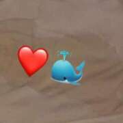 ヒメ日記 2025/01/10 16:06 投稿 あおば Ange(長崎)