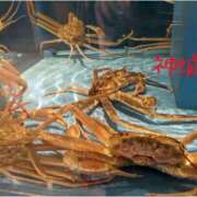 ヒメ日記 2024/12/18 00:40 投稿 神城えりか 五十路マダム愛されたい熟女たち 福山店(カサブランカグループ)