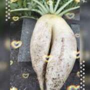 ヒメ日記 2024/12/18 00:54 投稿 神城えりか 五十路マダム愛されたい熟女たち 福山店(カサブランカグループ)