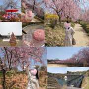 ヒメ日記 2025/04/09 08:58 投稿 神城えりか 五十路マダム愛されたい熟女たち 福山店(カサブランカグループ)