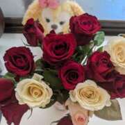 ヒメ日記 2025/06/27 04:14 投稿 神城えりか 五十路マダム愛されたい熟女たち 福山店(カサブランカグループ)