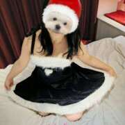 ヒメ日記 2025/12/21 08:20 投稿 神城えりか 五十路マダム愛されたい熟女たち 福山店(カサブランカグループ)